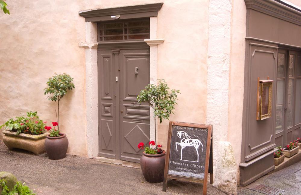 Le Cheval Blanc Bed & Breakfast Saint-Antonin Ngoại thất bức ảnh